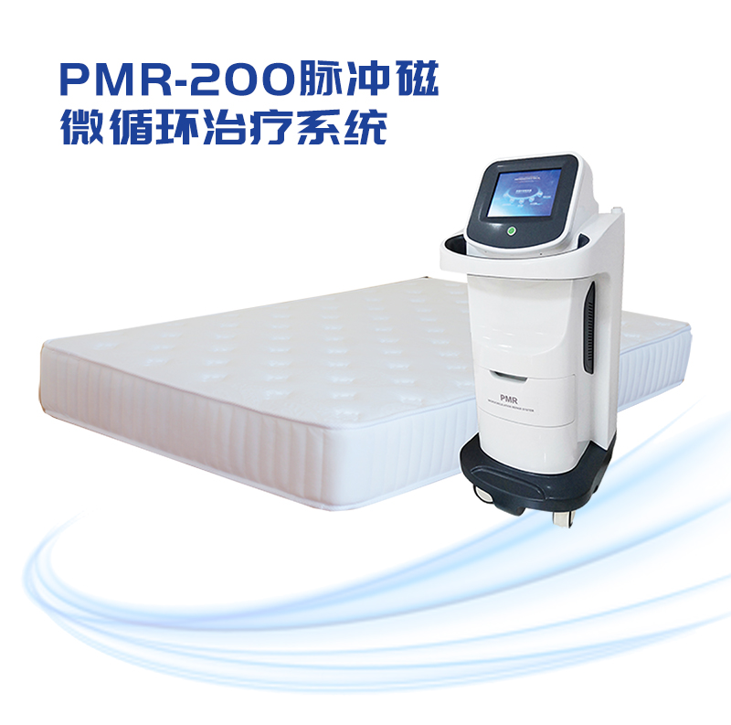 PMR-200脉冲磁微循环治疗系统